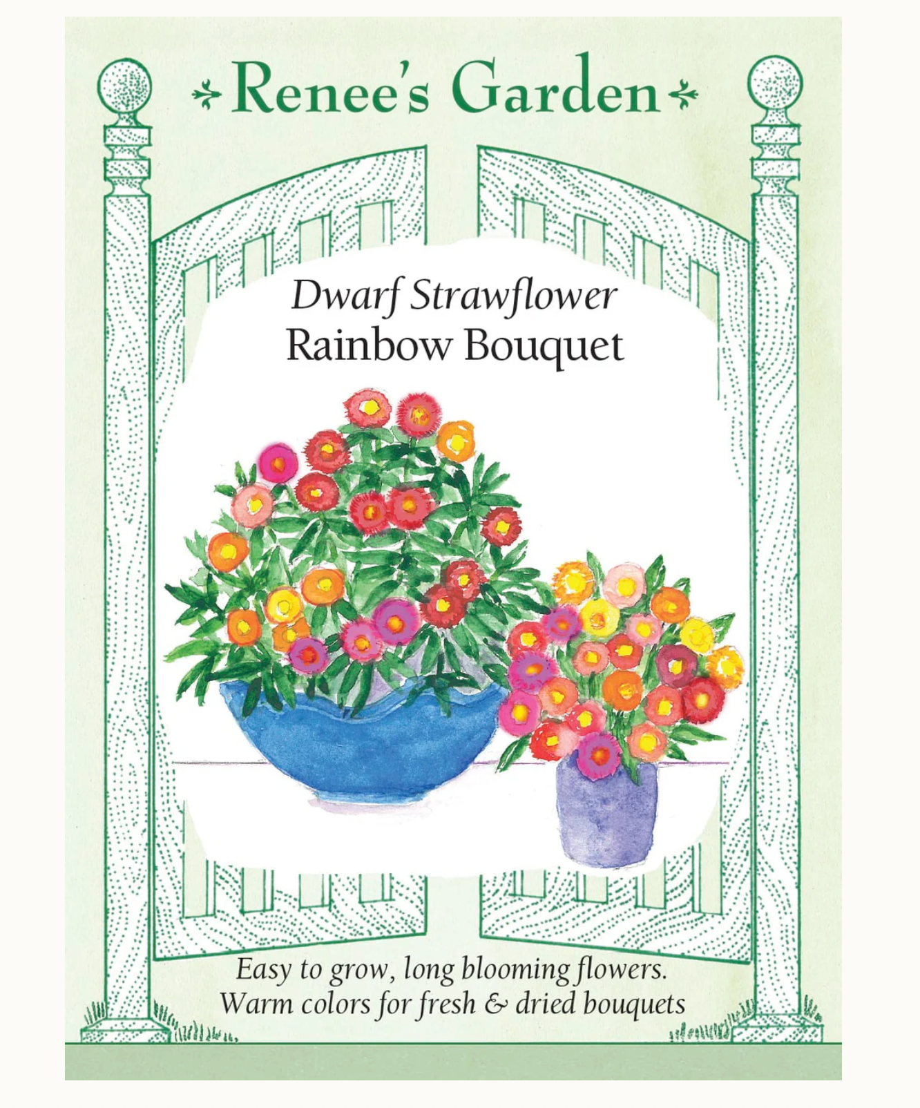 Renee's Garden | Dwarf Strawflower Rainbow Bouquet