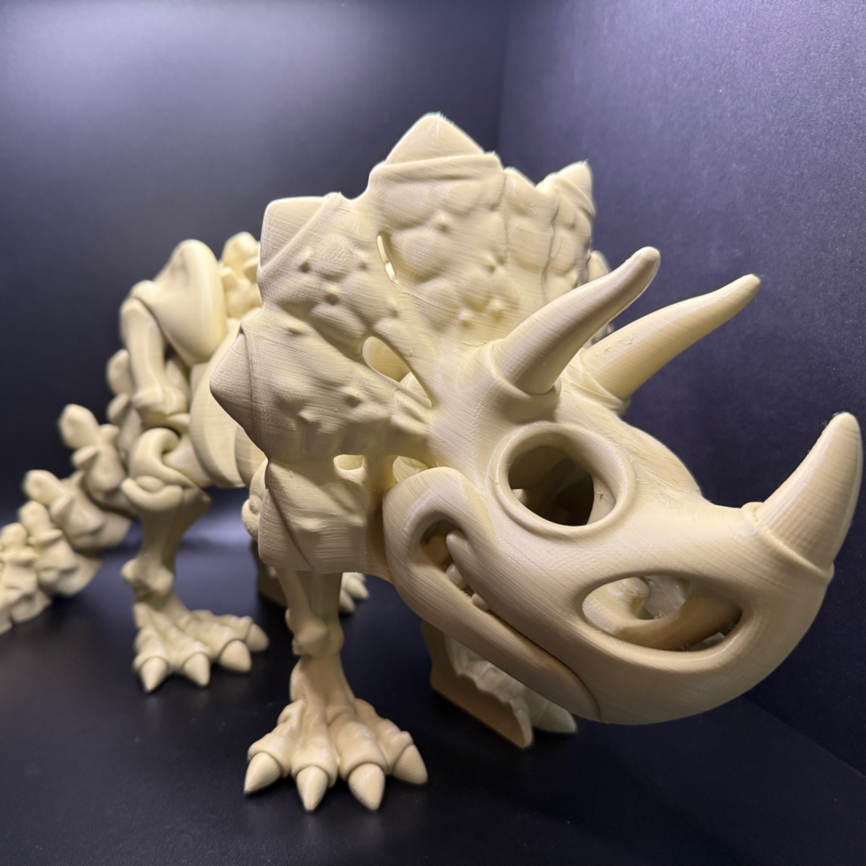XL Triceratops