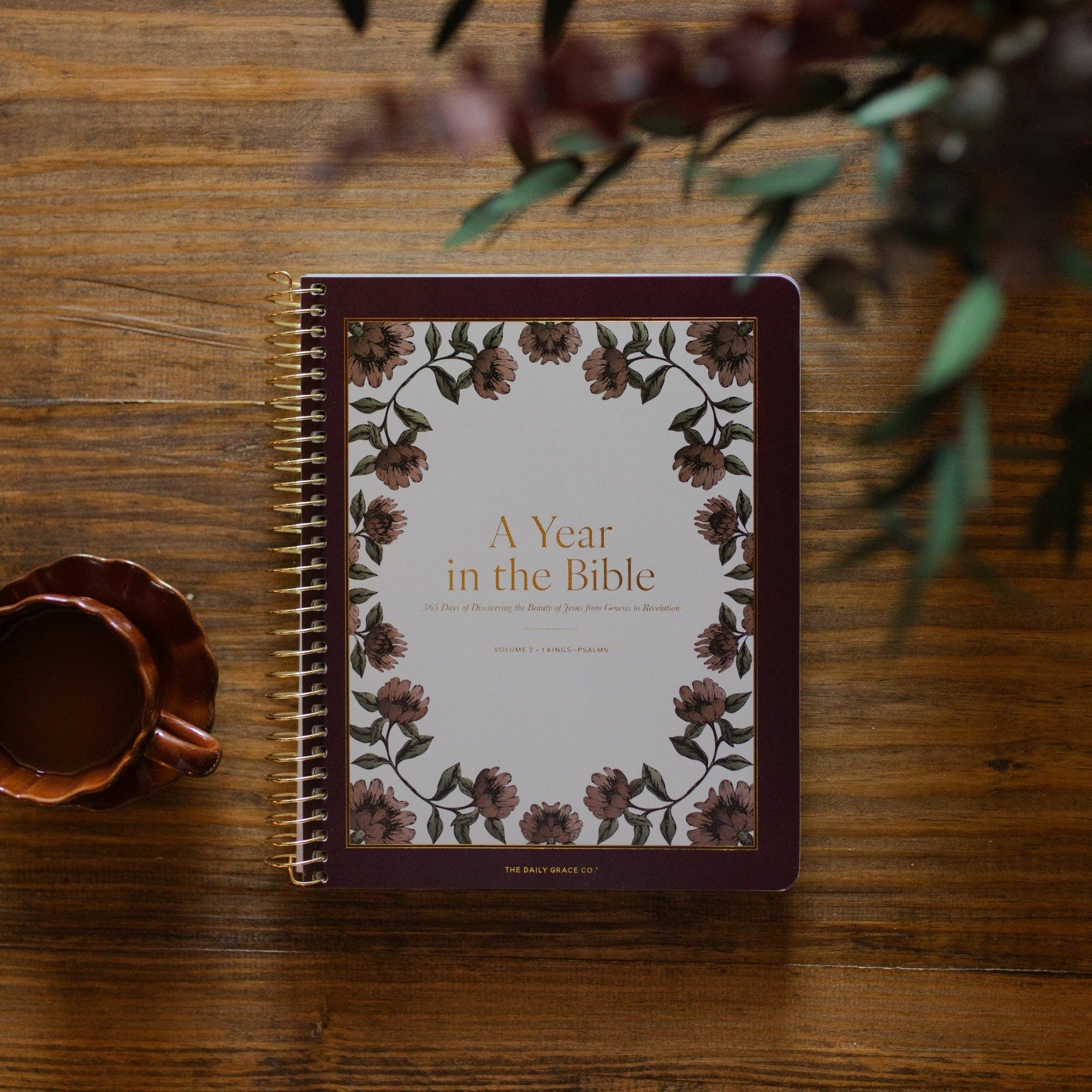 A Year in the Bible | 365 Days of Discovering the Beauty of Jesus from Genesis to Revelation | Volume 2