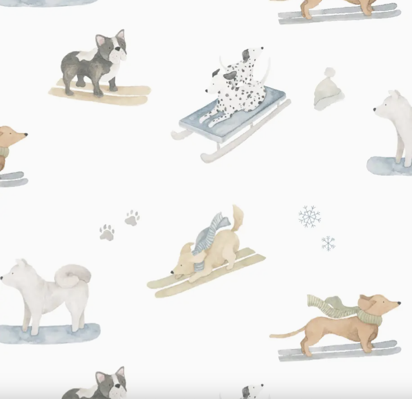 Ski Pups Blue Pima Baby Blanket