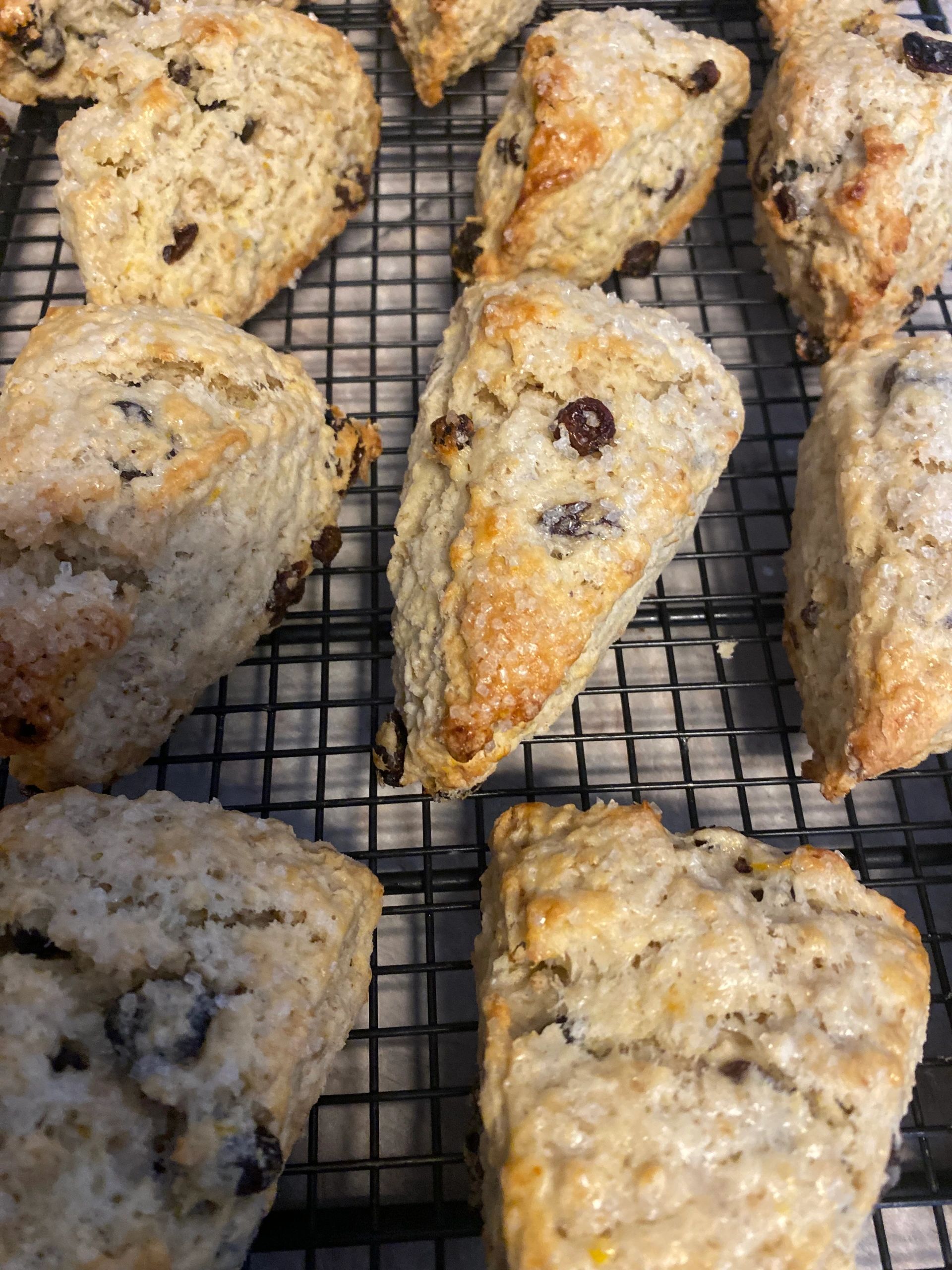 Scone Mania ( 8)