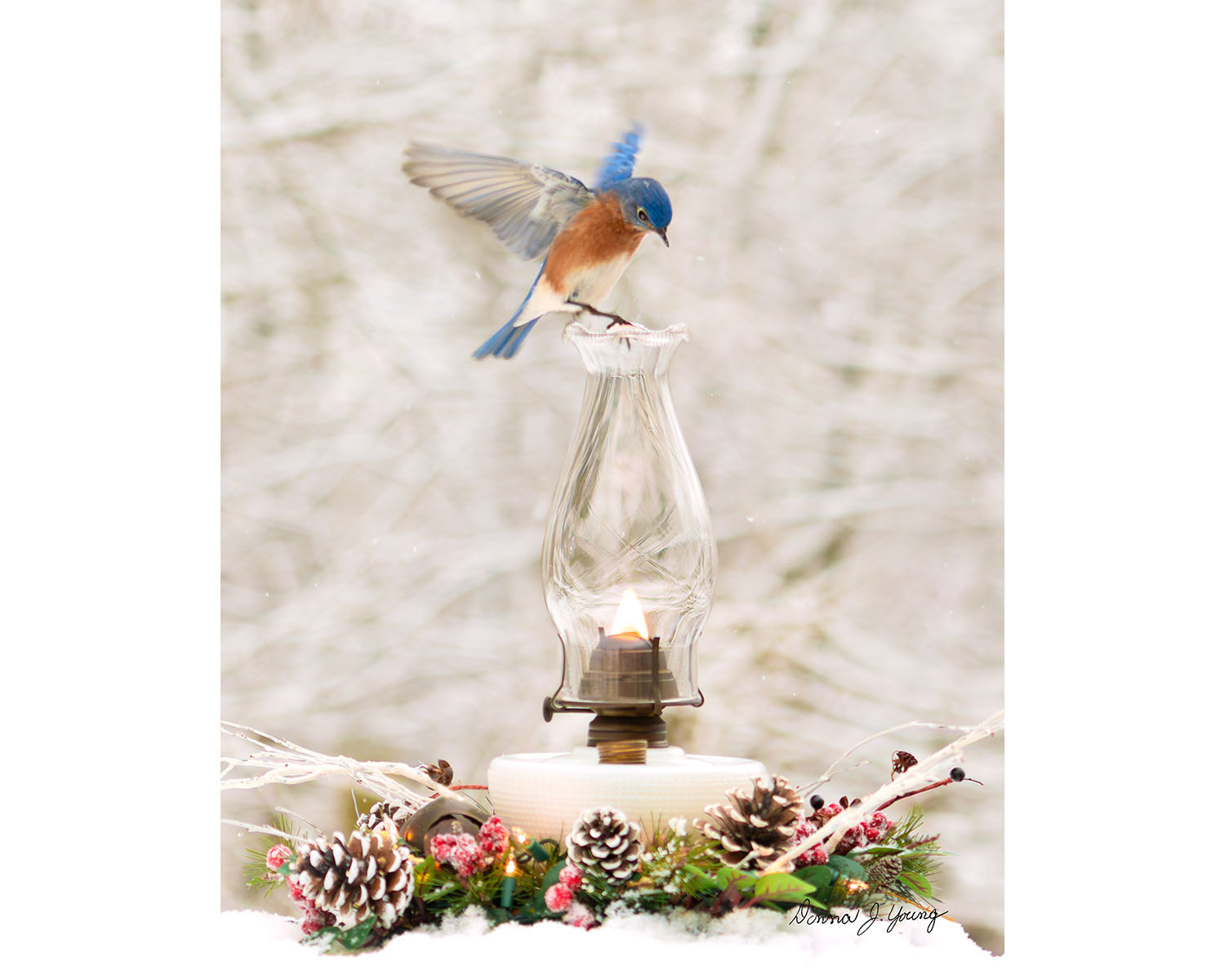 Azure on Winter White