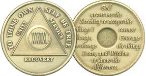 M29 Medallion Bronze 29 Year