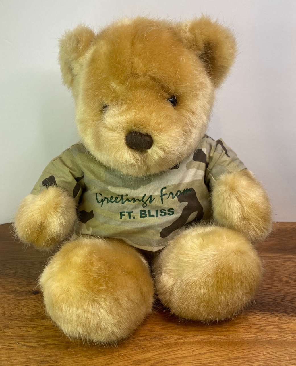 It's All Greek to Me Brand Plush Stuffed Animal Greetings from FT. BLISS