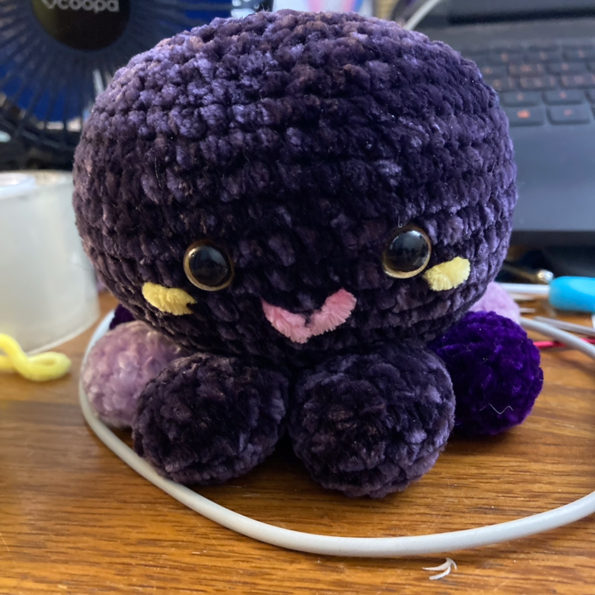 Octopus