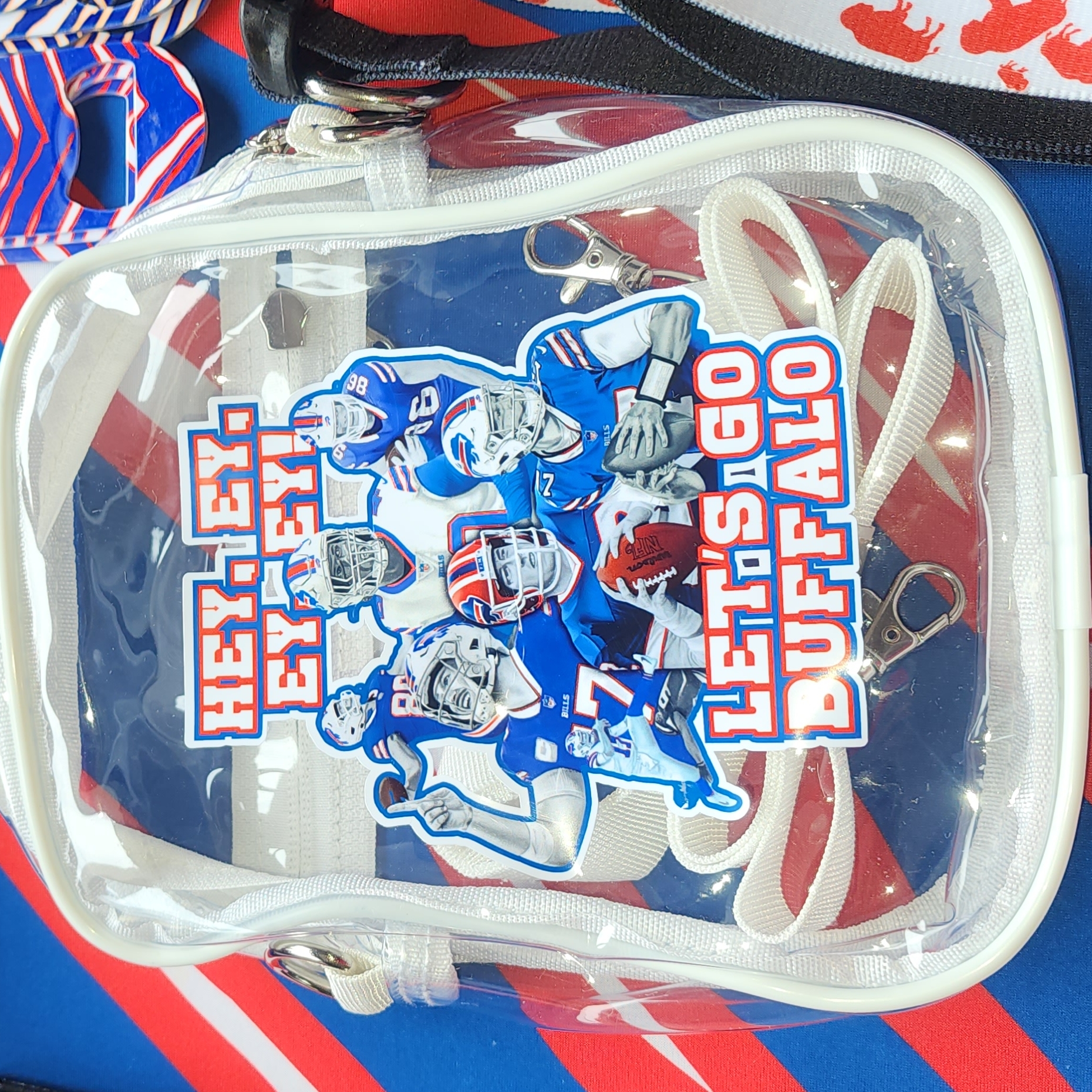 Clear Purse