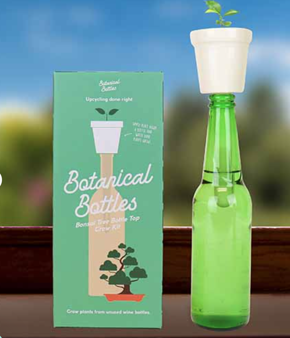 GIFT REPUBLIC Botanical Bottles Bonsai