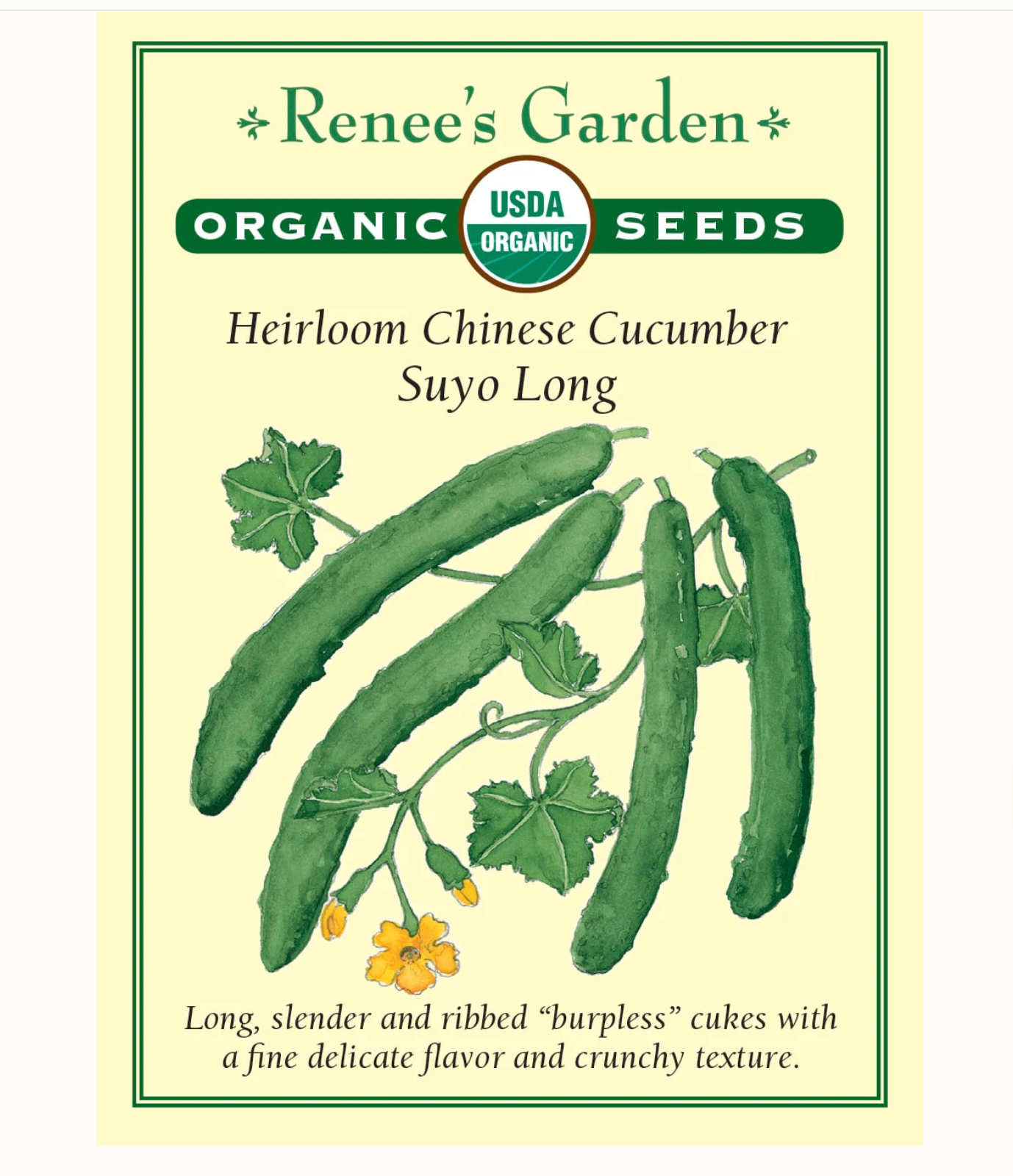 Renee's Garden | Heirloom Chinese Cucumber Suyo Long Organic