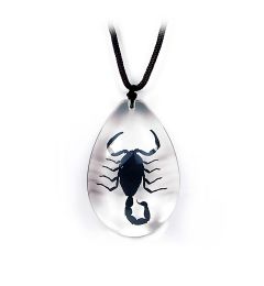 Black Scorpion Necklace