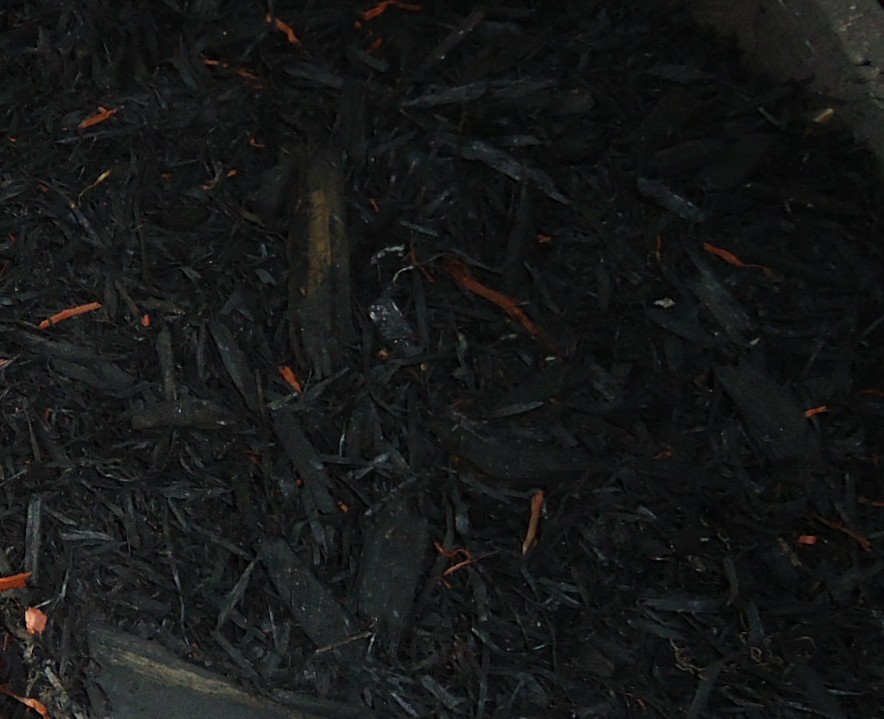 Black Mulch
