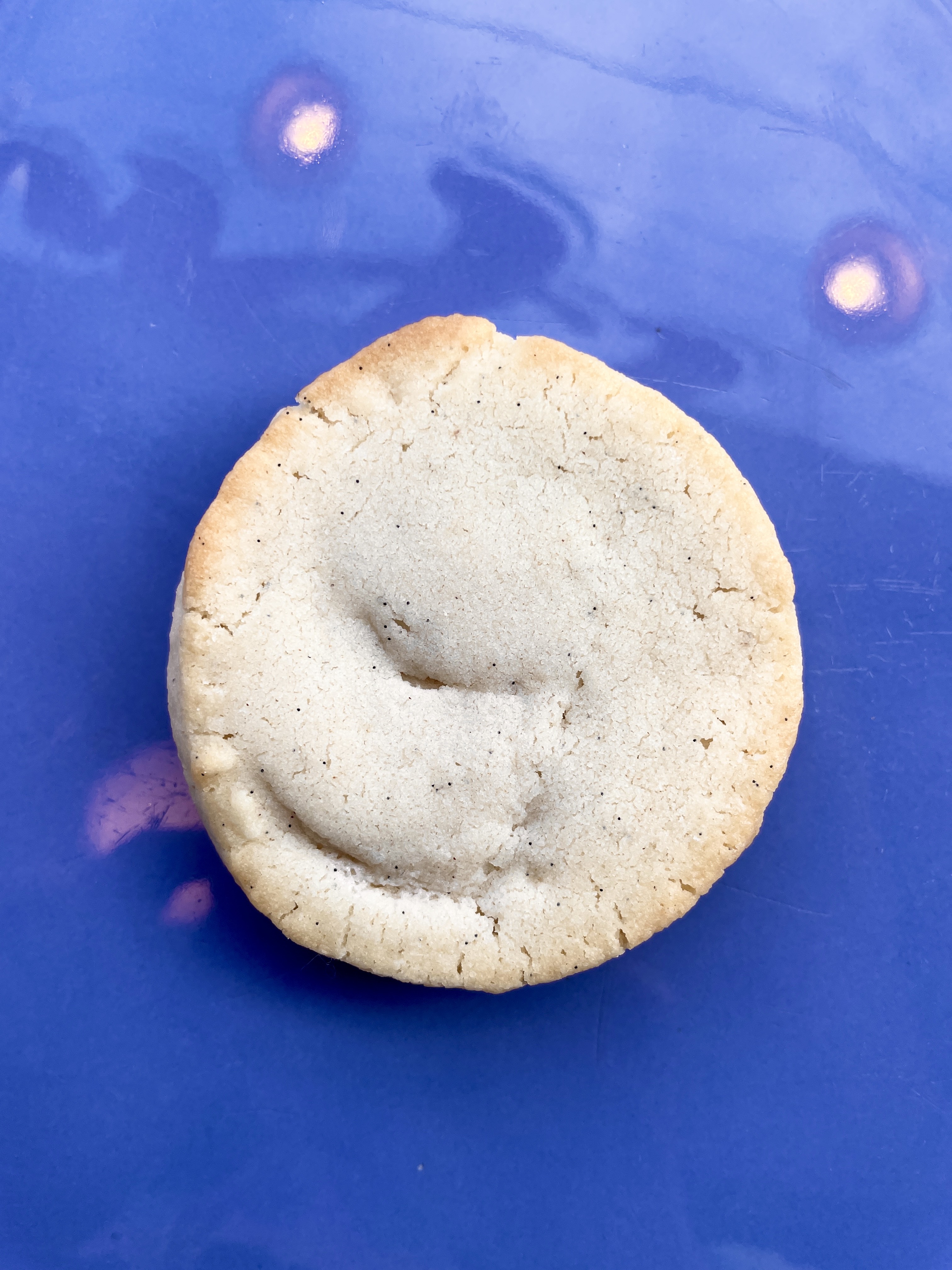 Vanilla Bean Shortbread Cookie