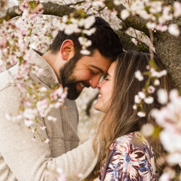 Garden Portraits - Public Boston Photoshoot