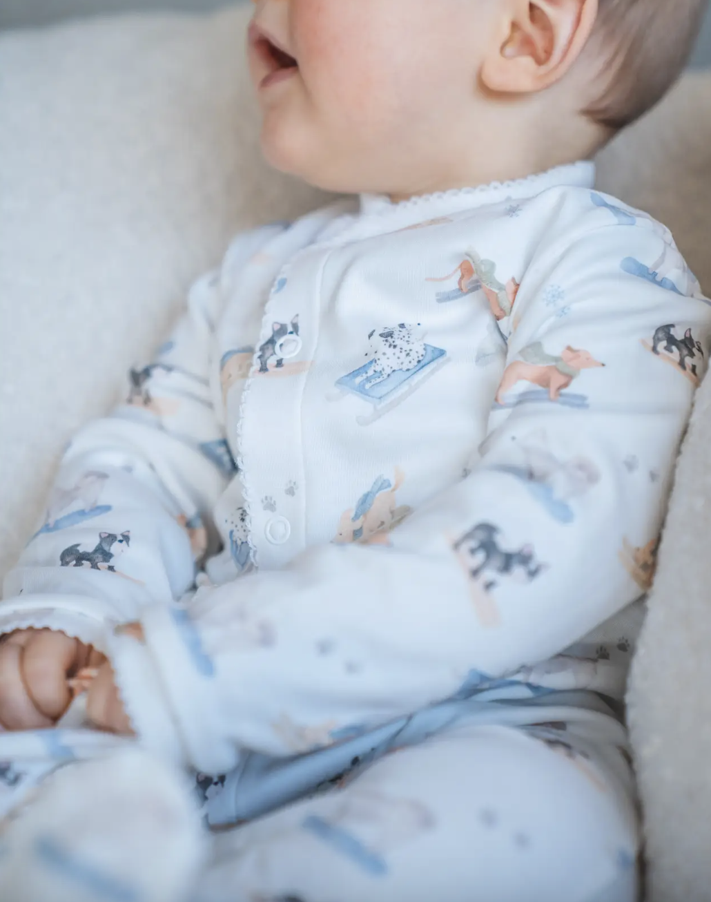 Ski Pups Blue Onesie