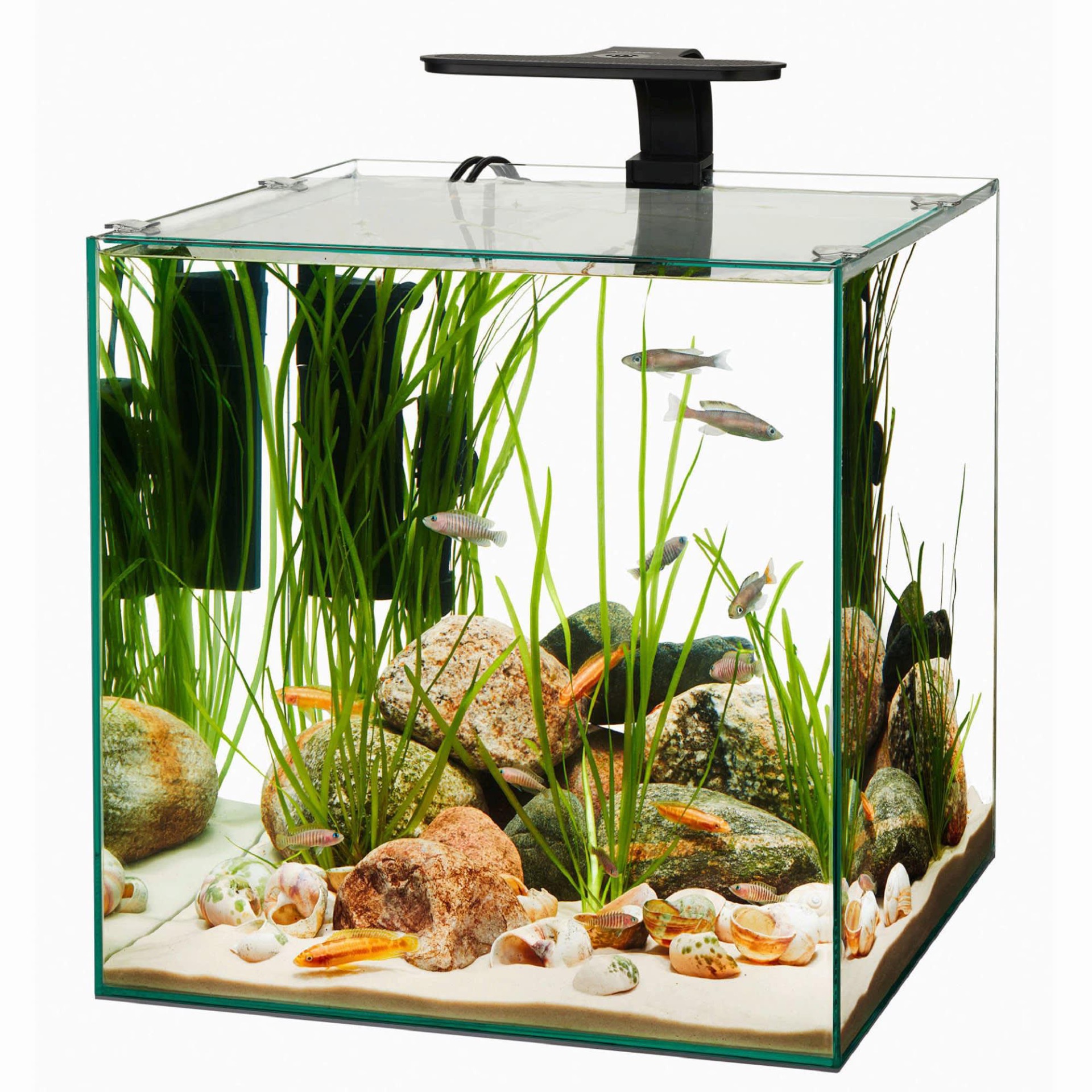 Aqueon Tank Frameless Cube Size 14