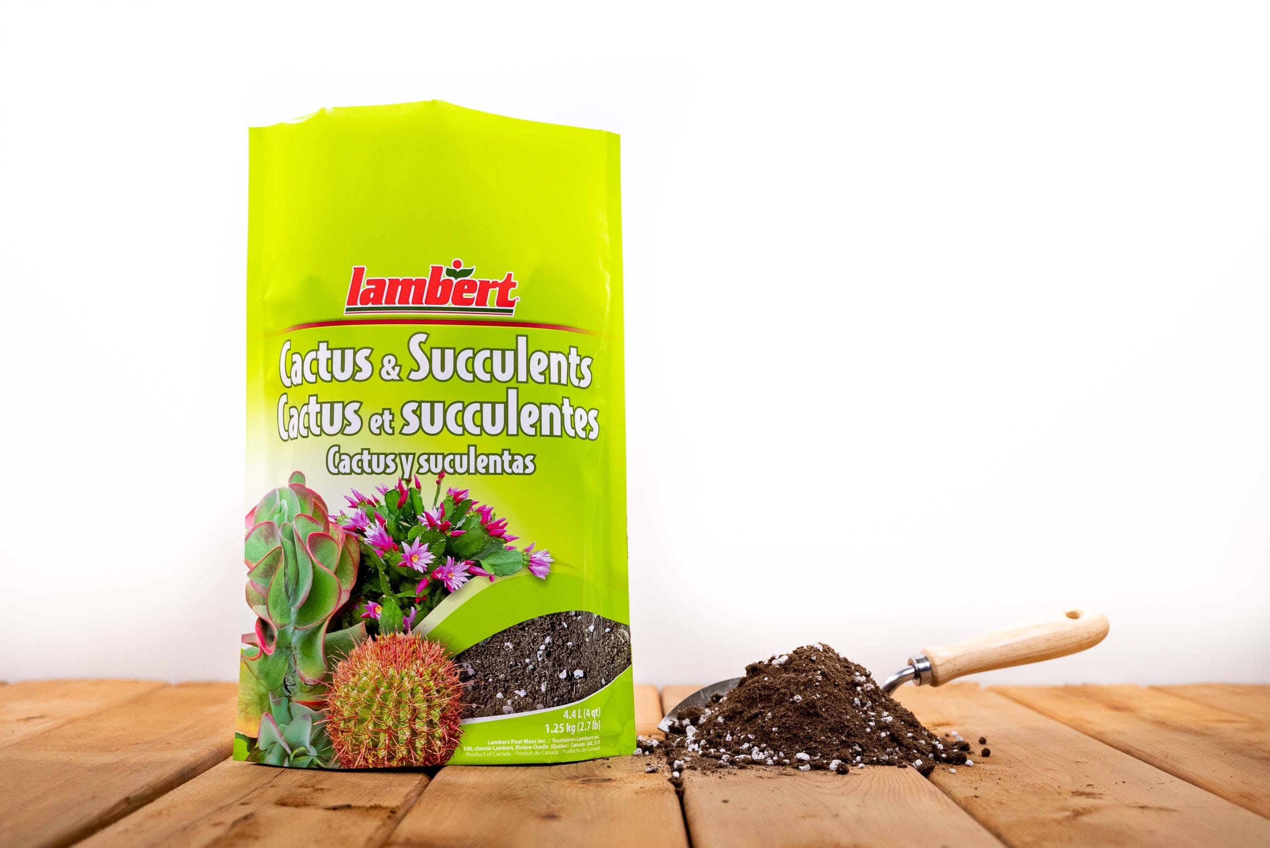 Lambert Cactus and Succulents Soil - 4 Quart - 4.4L