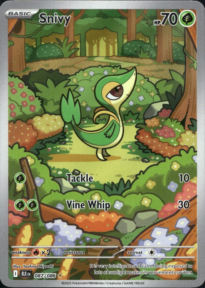 Snivy - SV10.5B 87/86