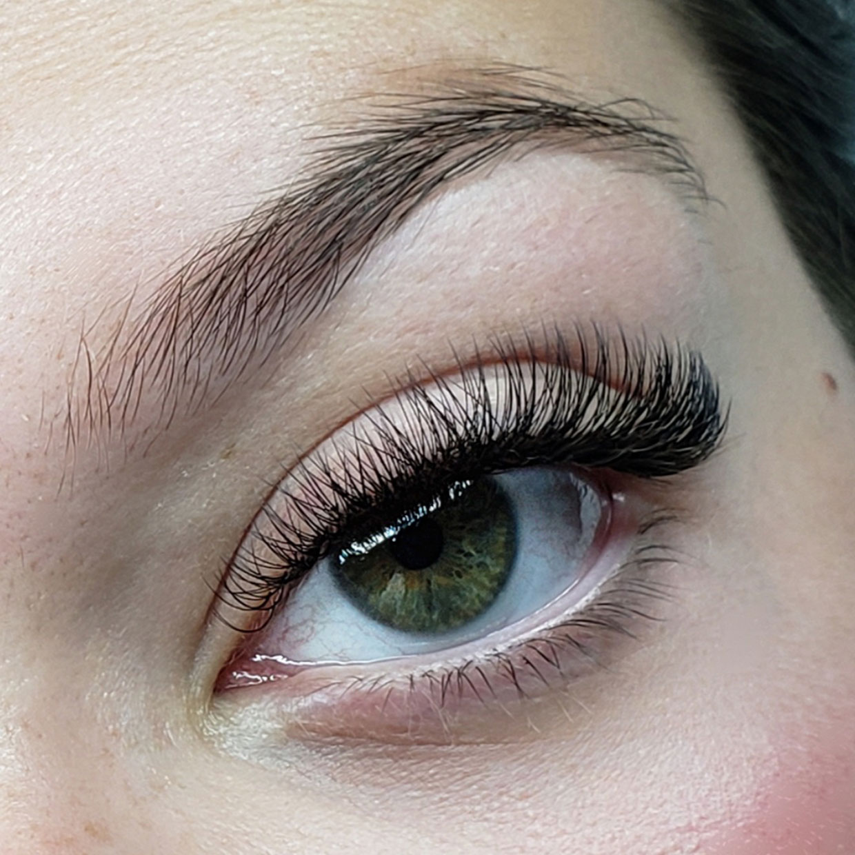 Lashes Fluff - HYBRID