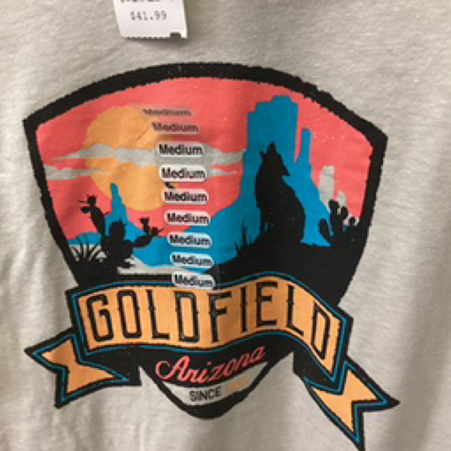 Superstition Mountain long sleeve on Oatmeal - D - XL