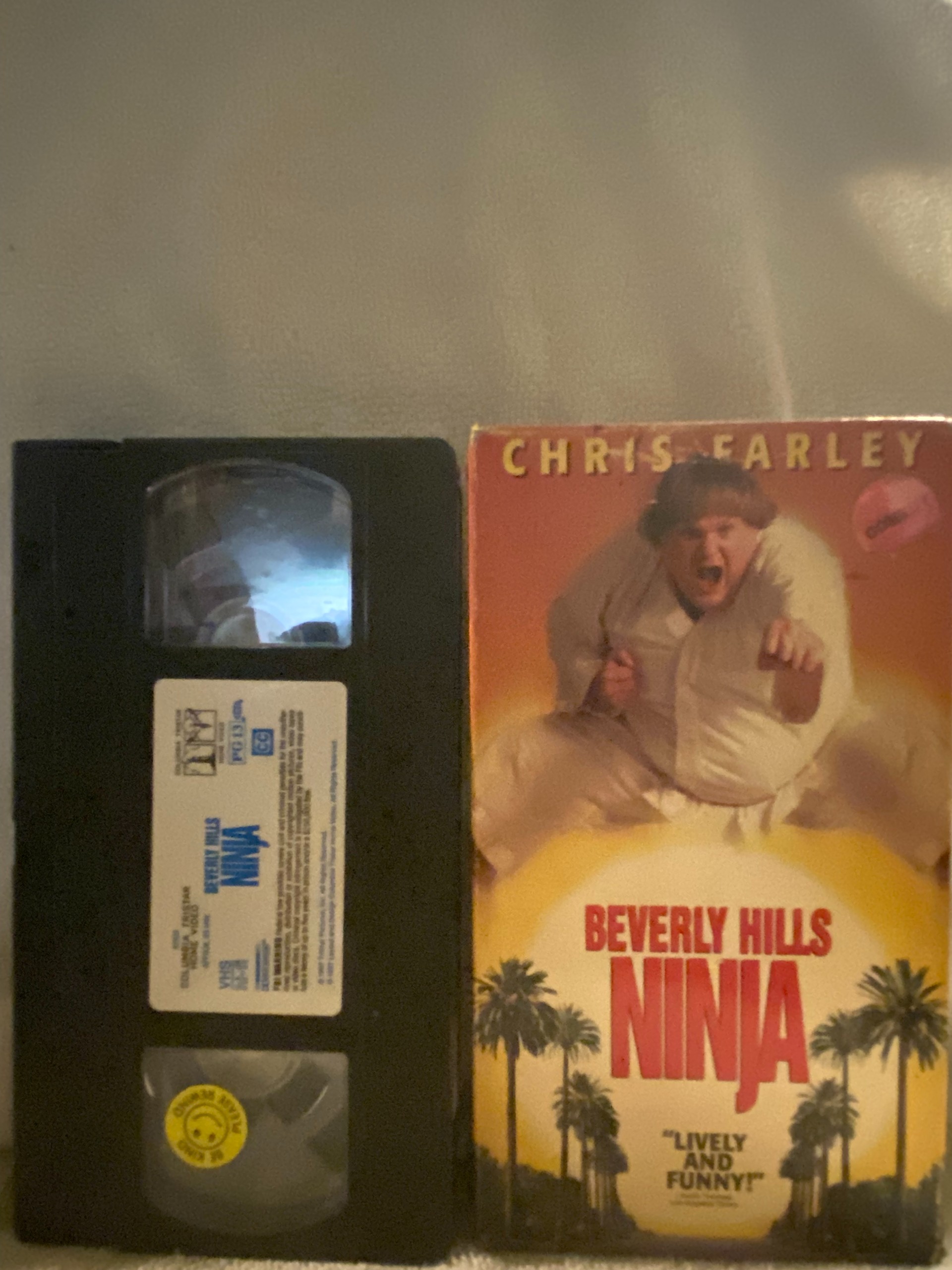 Beverley Hills Ninja/Dennis Dugan