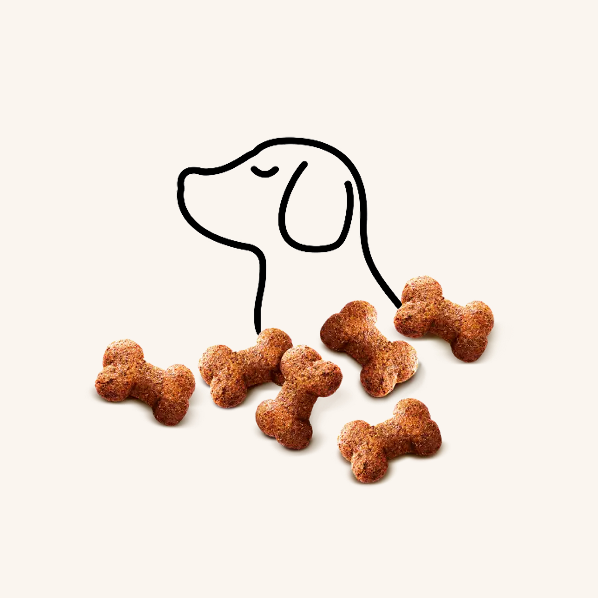 Dog Treat