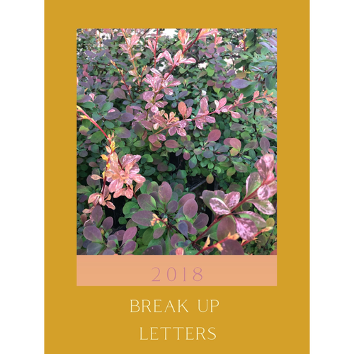 "2018 Break Up Letters" (digital chapbook)