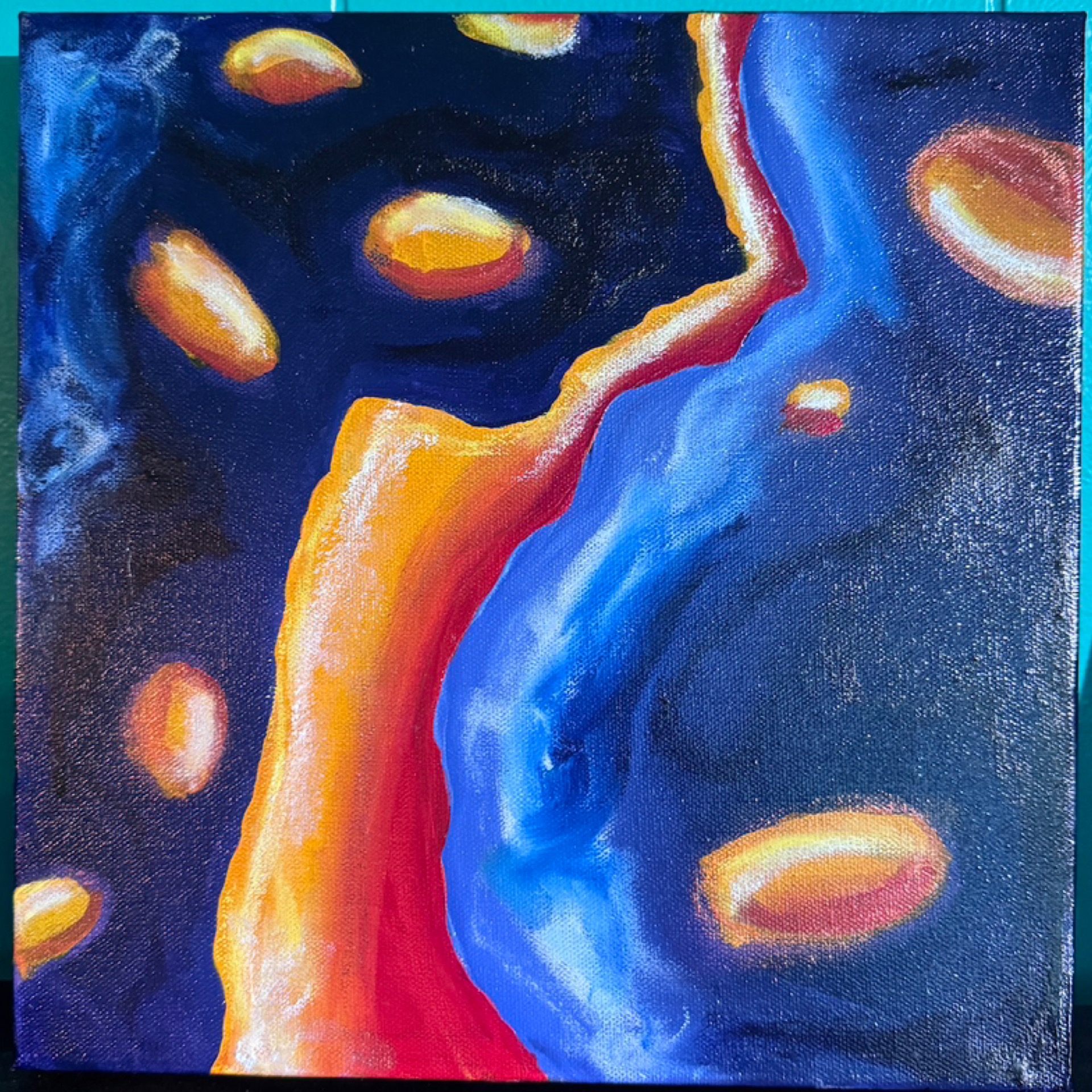 Nudi #1