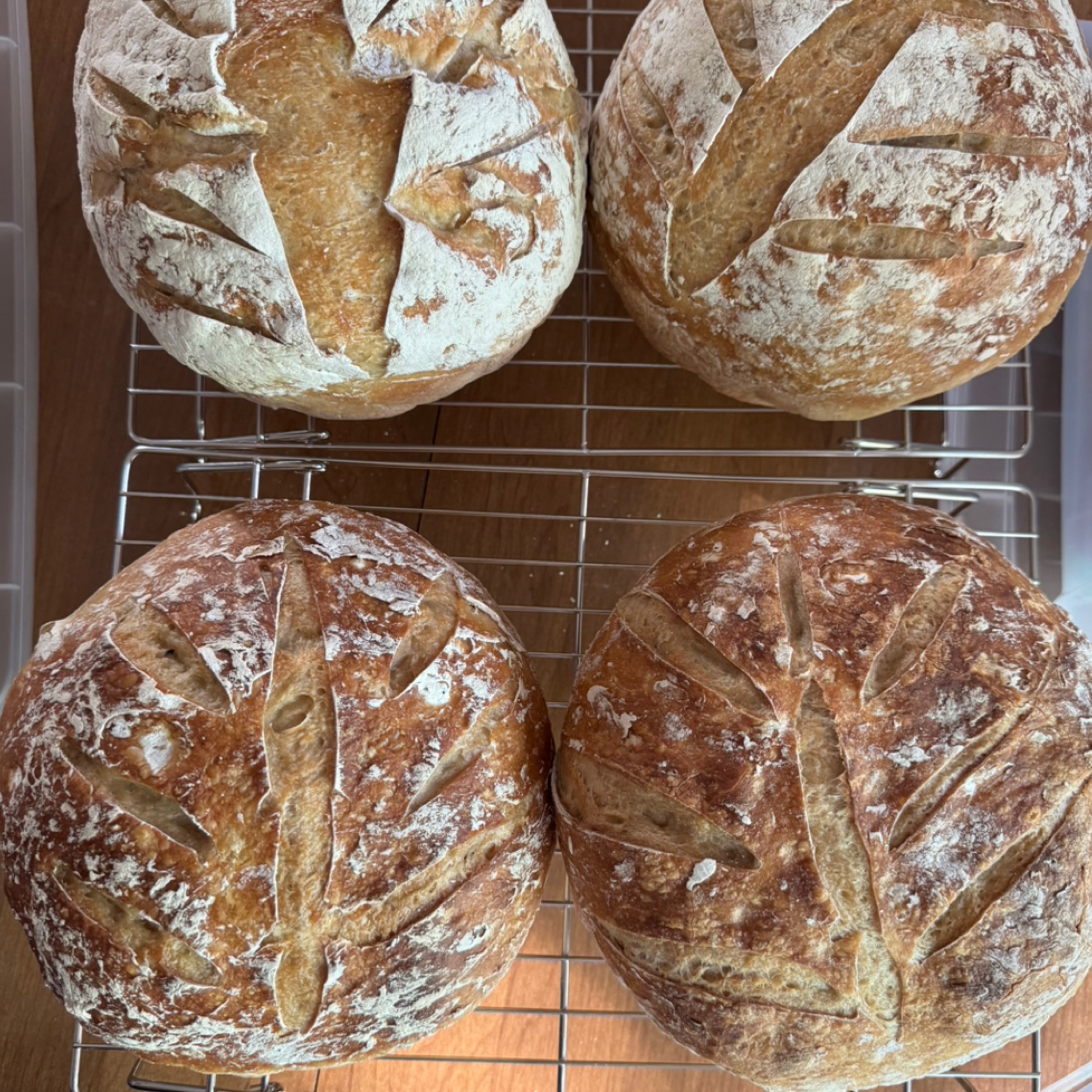 Photo of Sourdough Round Loaf