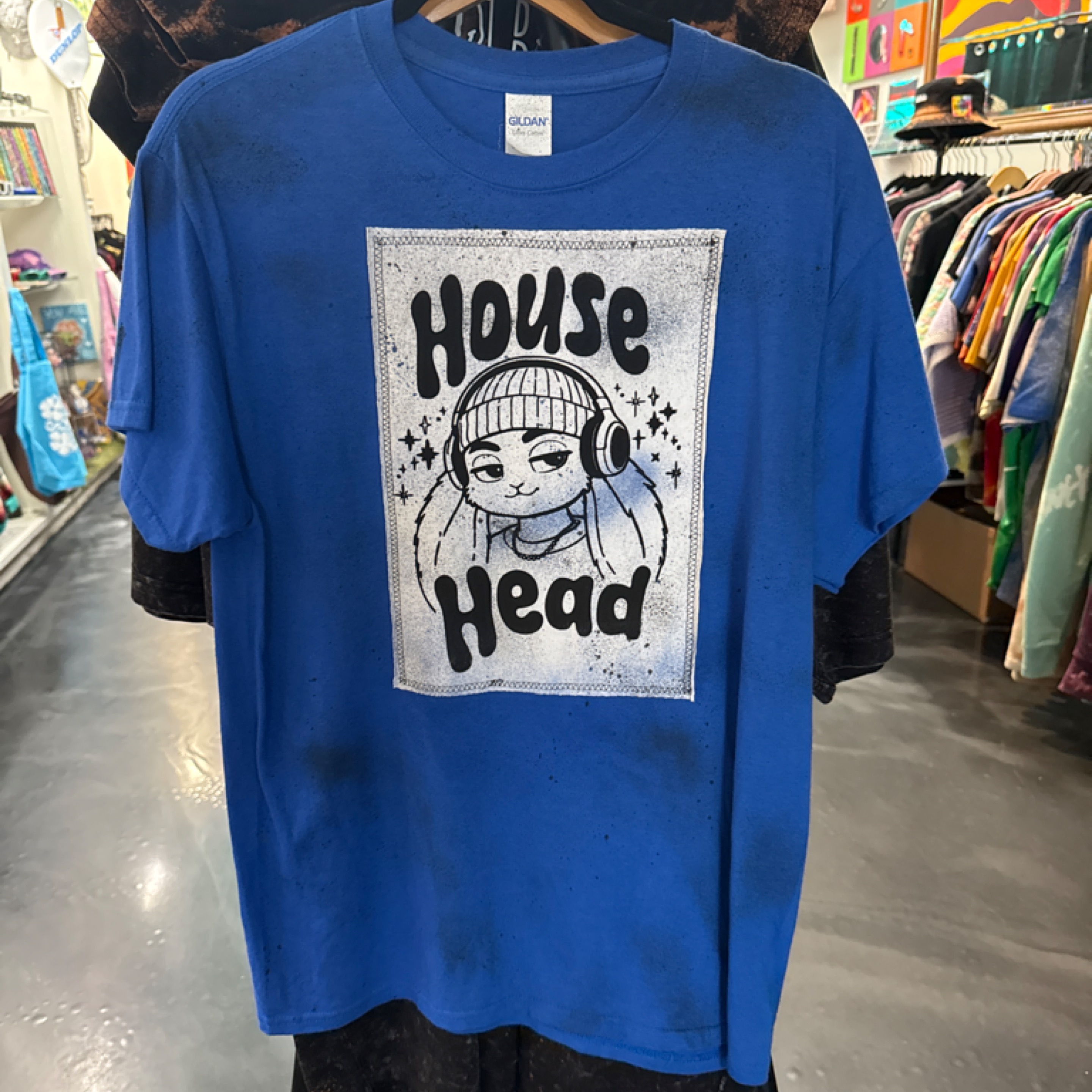 Blue White House Head Ascension Society