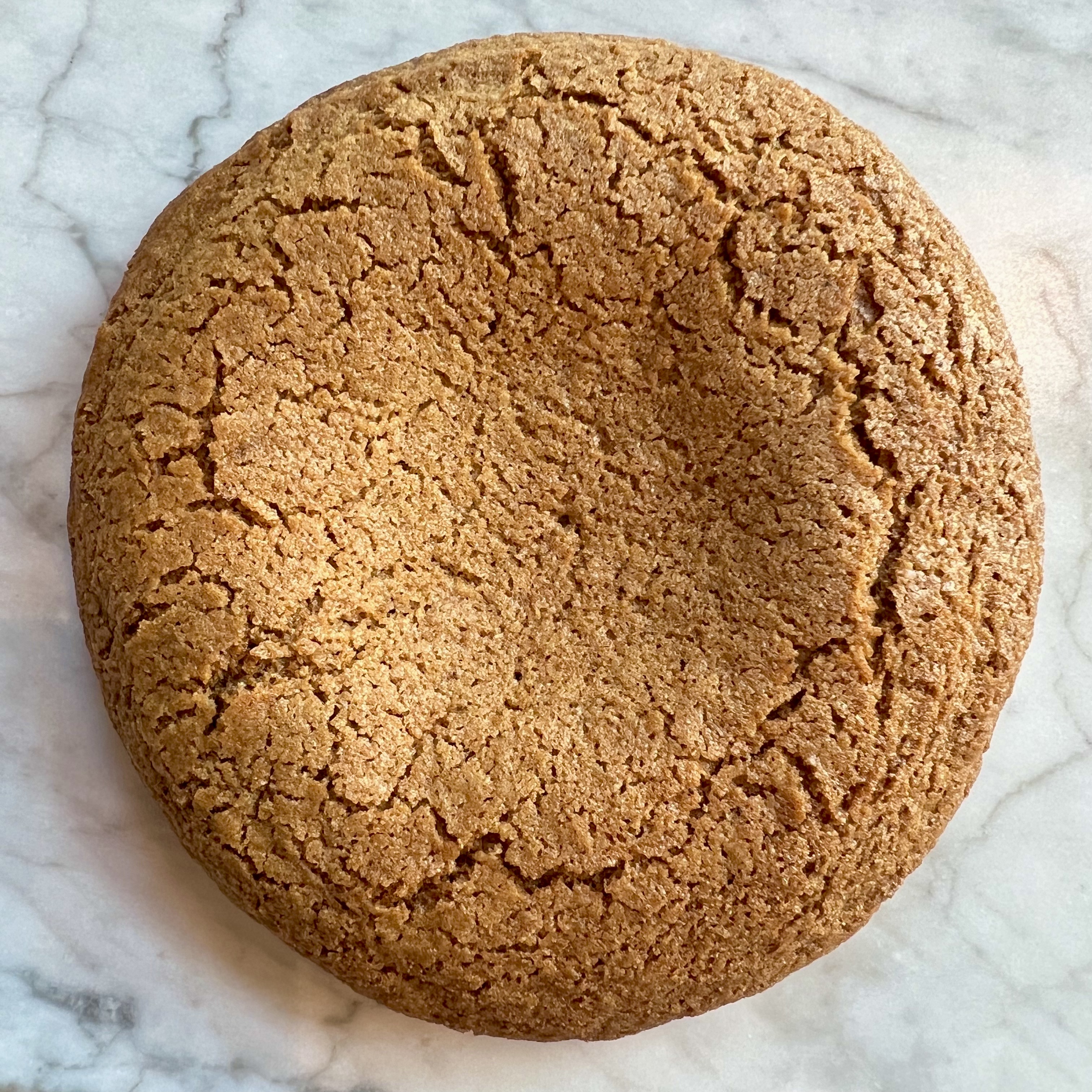 Molasses Cookie
