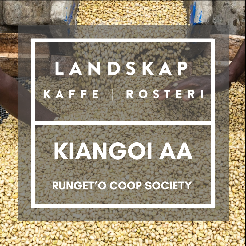 Kiangoi AA, Kirinyaga, Kenya