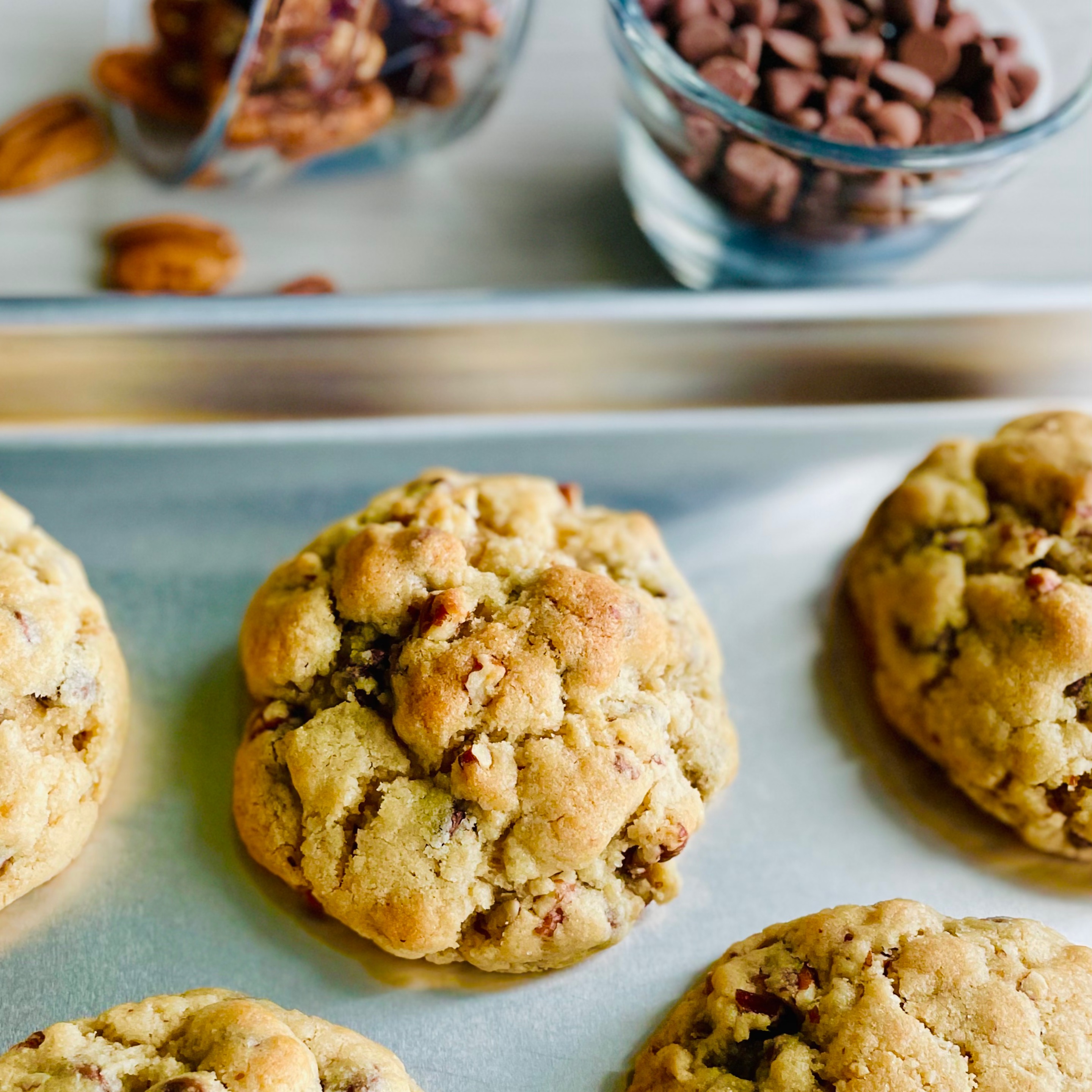 Photo of Walnut Chocolate Chip Cookie