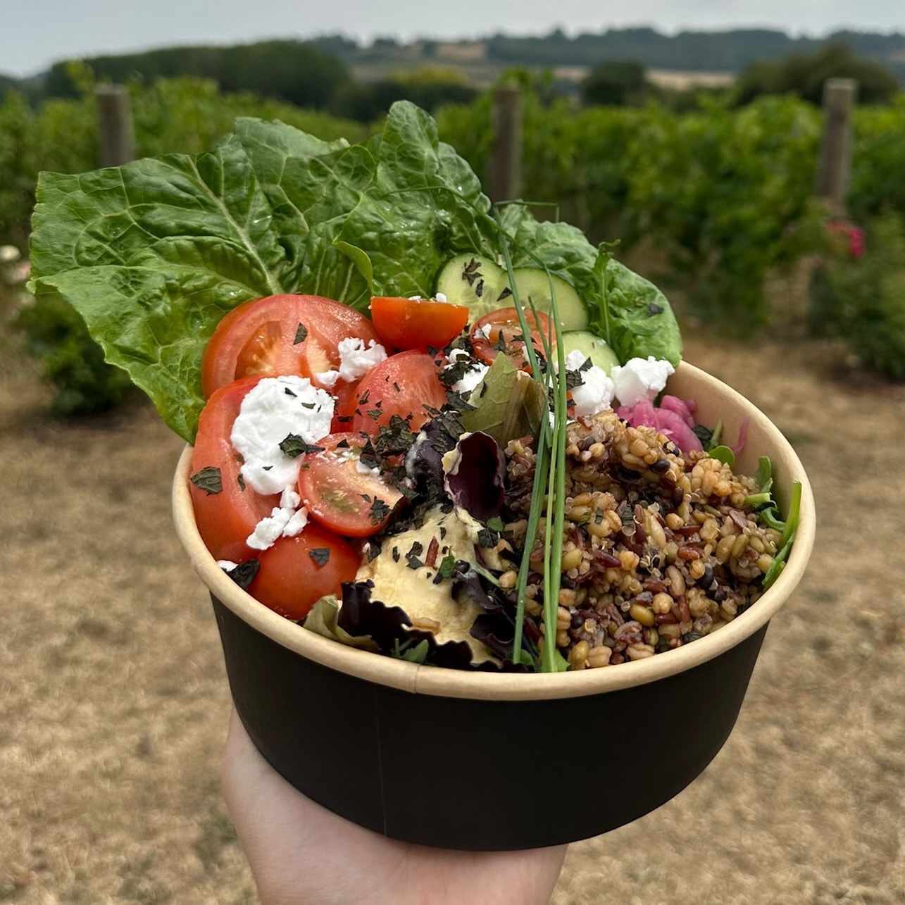 Grain and protein salad