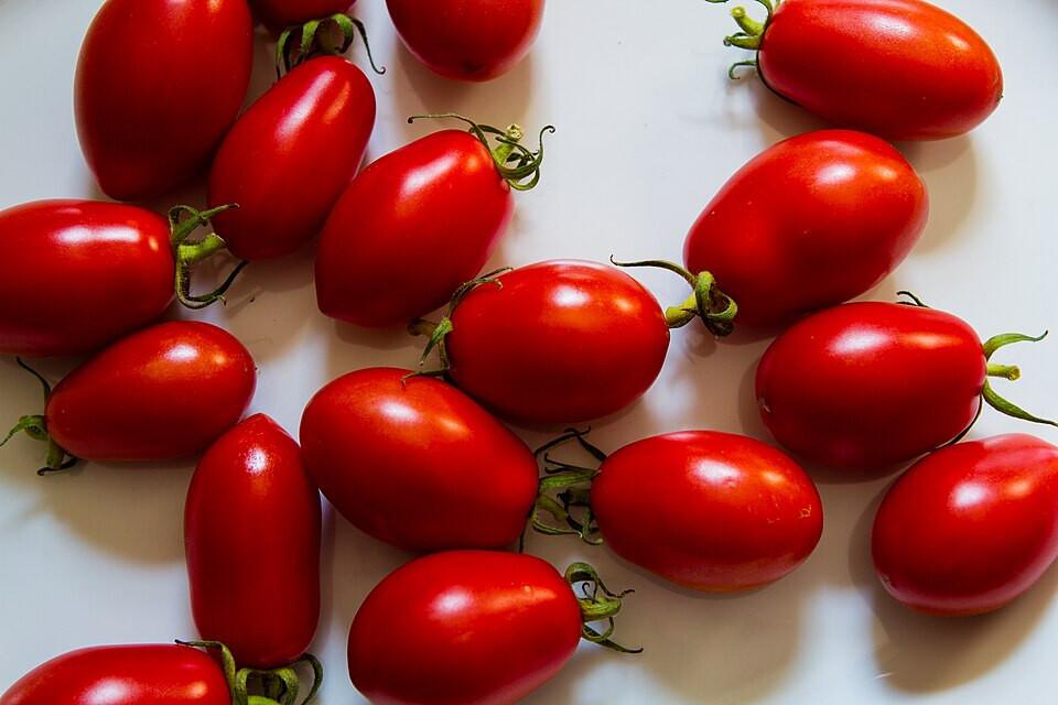 San Marzano Tomatoes - 2x Plug Plants - Excellent Variety For Canning