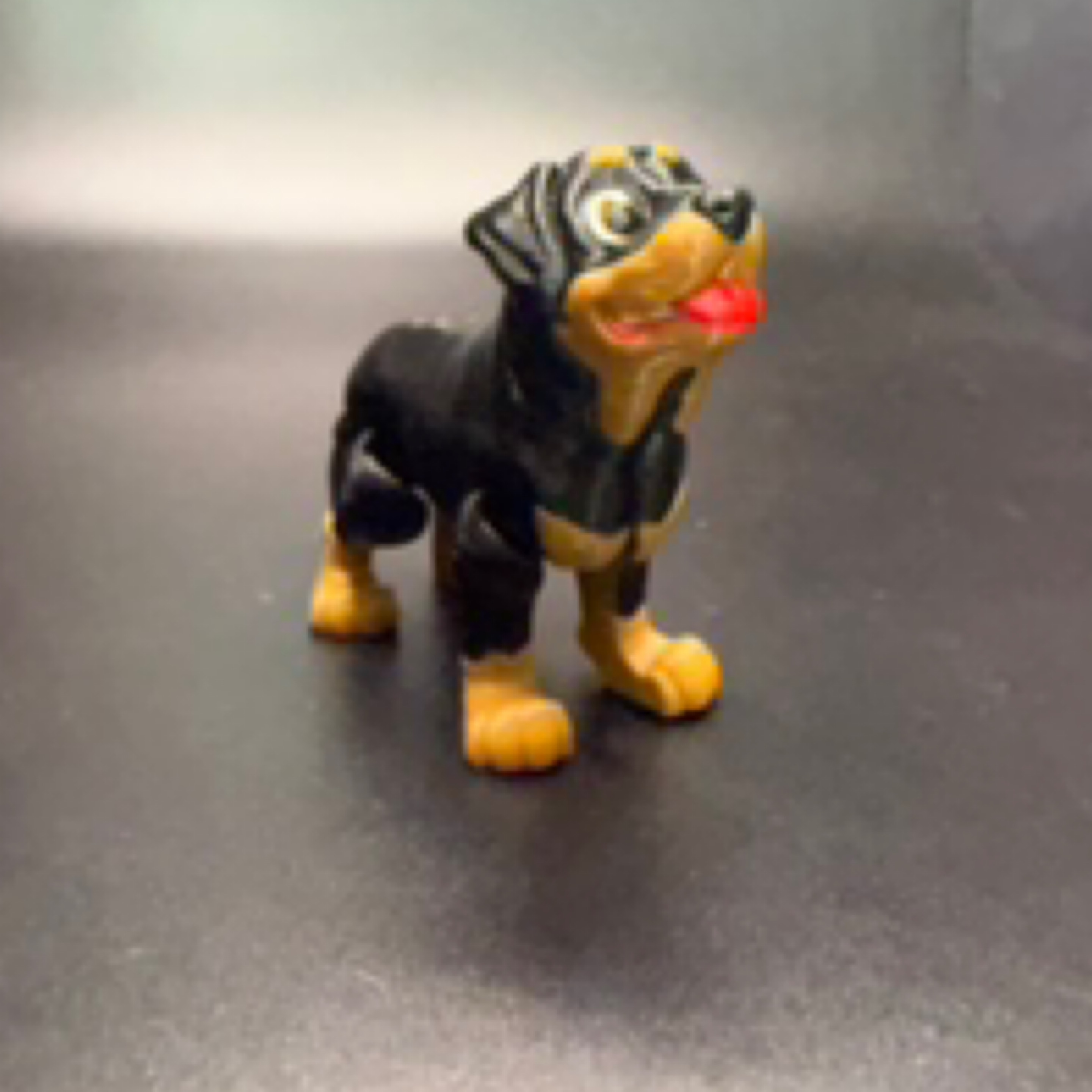 Rottweiler