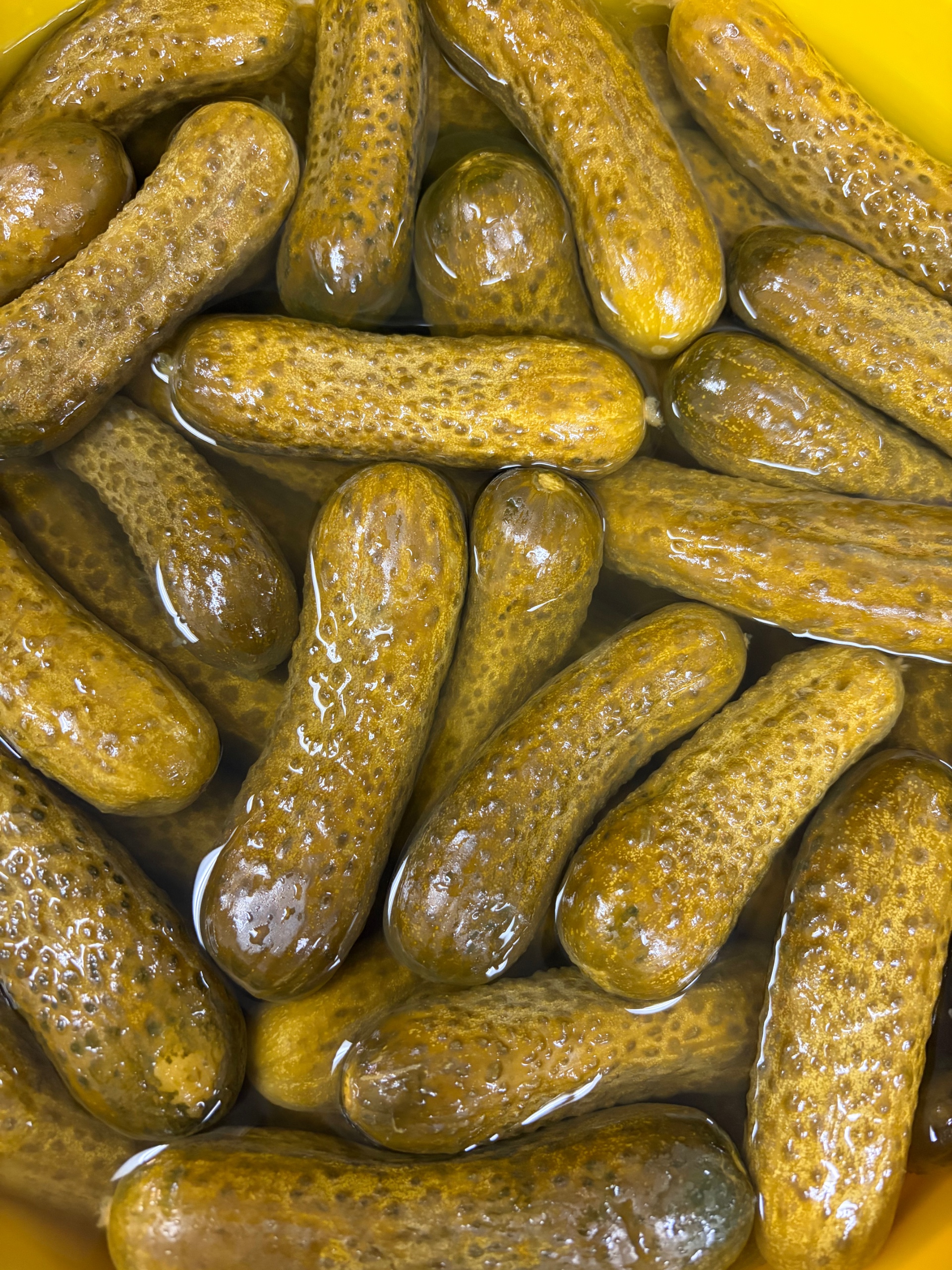 Hot Pickle