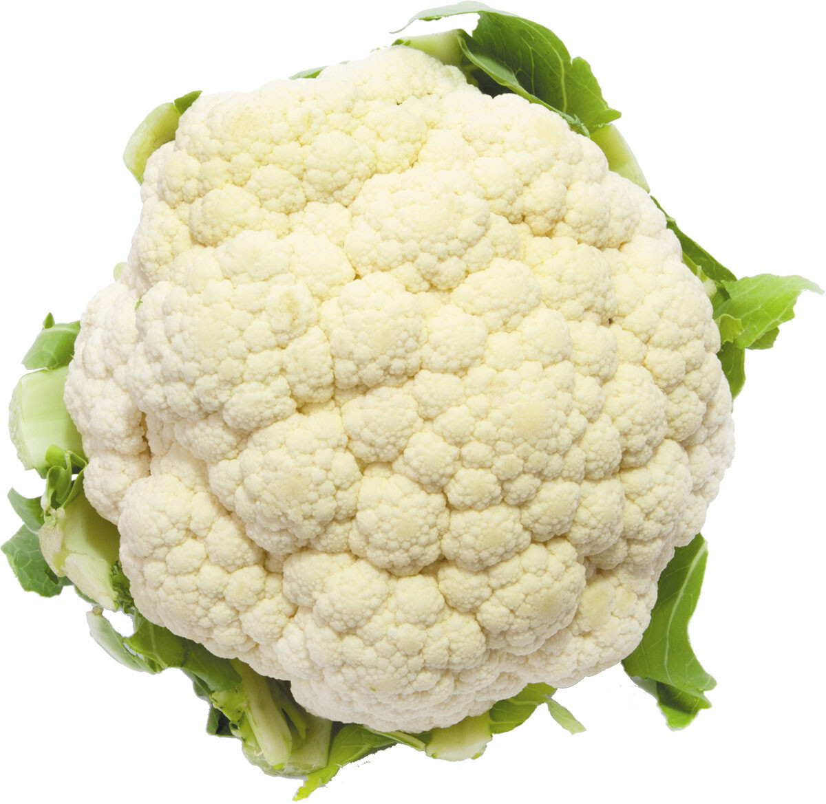 01. Cauliflower