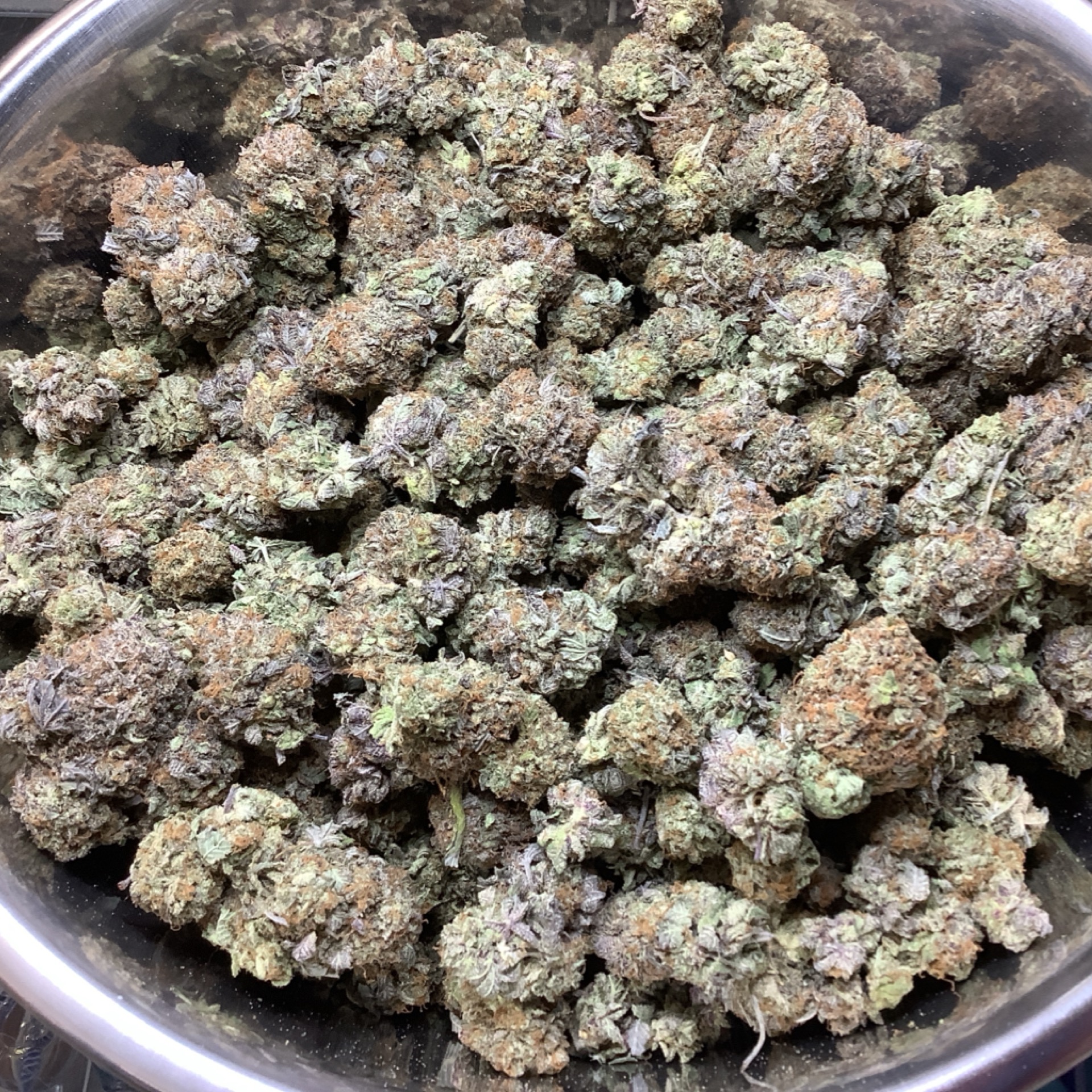 Bubba Kush 20.75% THCA - Regular