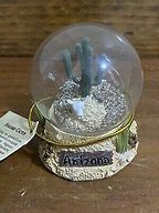 Mini Sand Globe - Saguaro