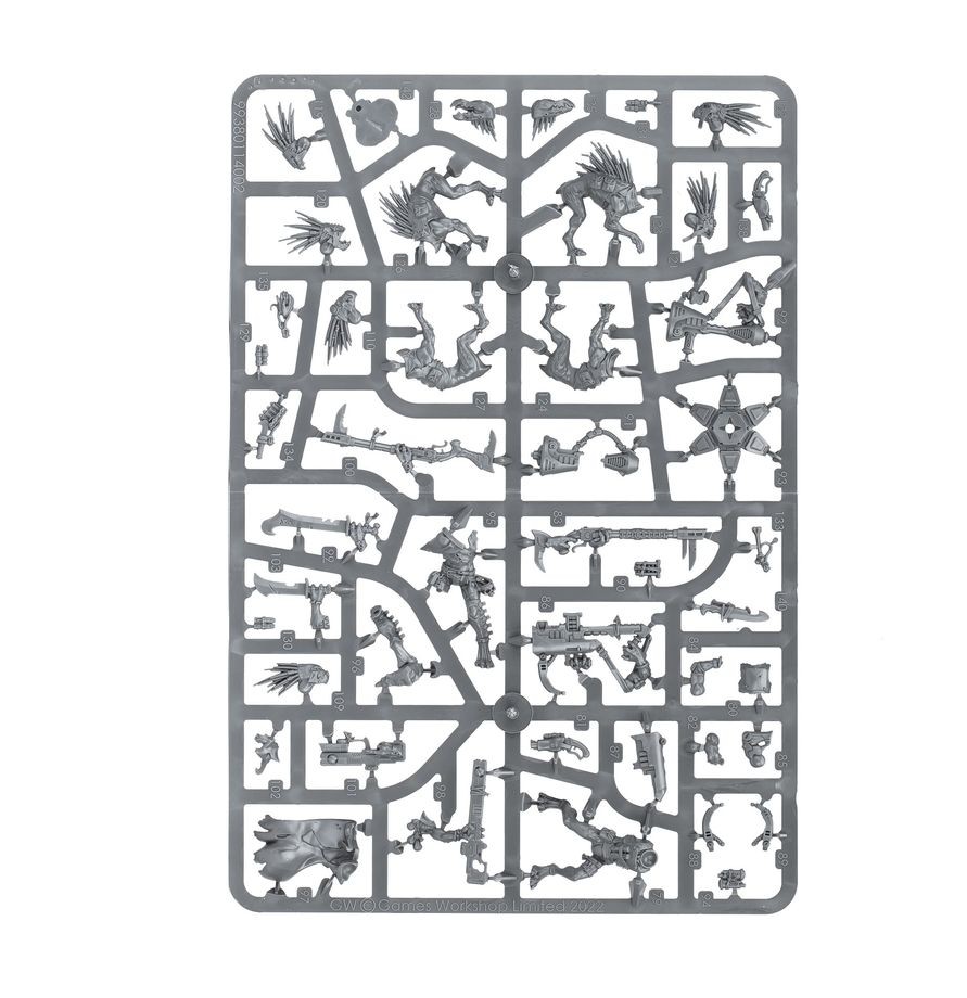 Kroot Farstalkers thumbnail 12