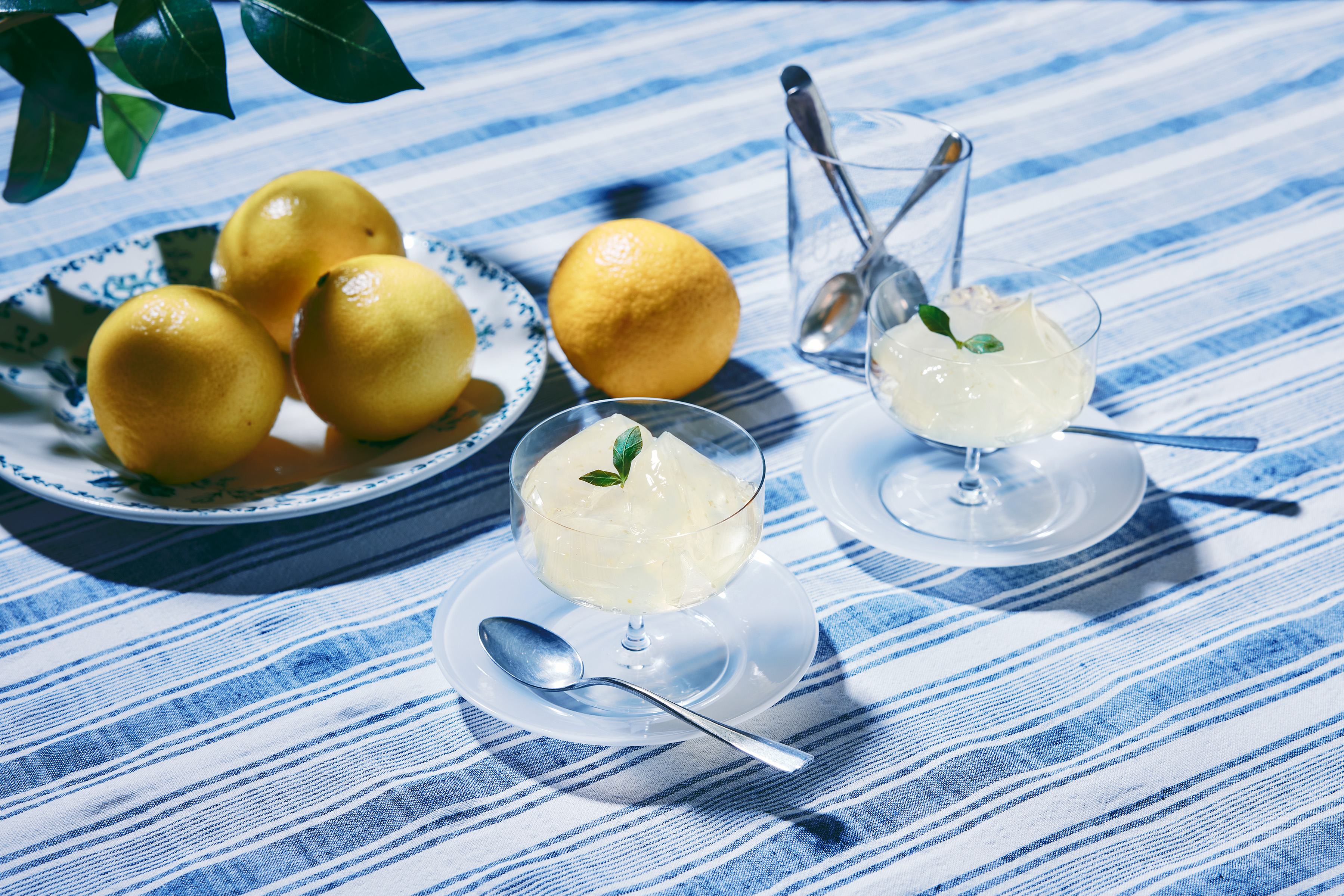 Citrus refreshing sweets New Summer Jelly & Sherbet