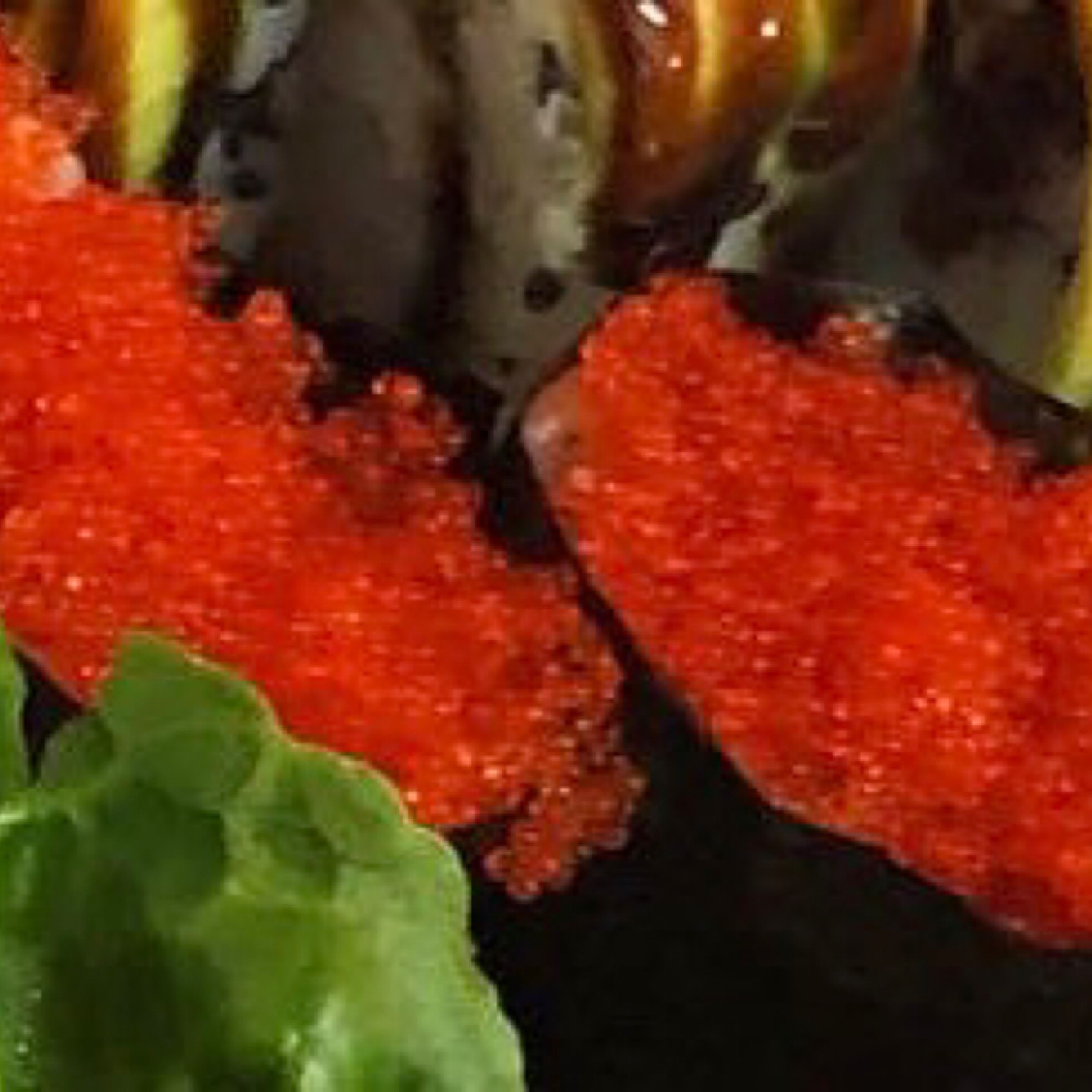 Tobiko Nigiri