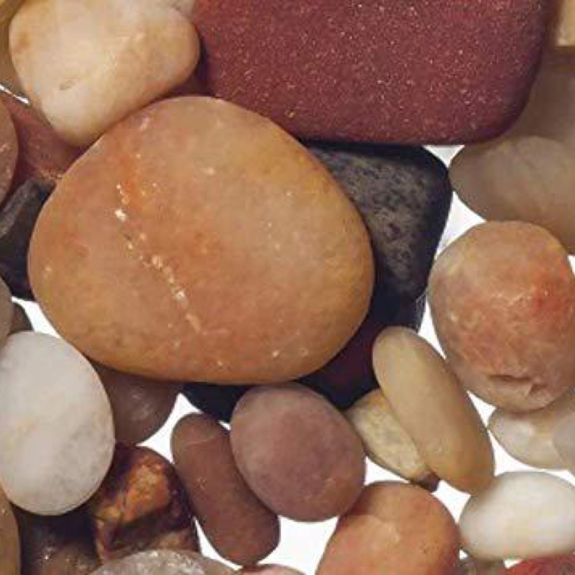Caribsea Jelly Beans Gravel for Aquarium