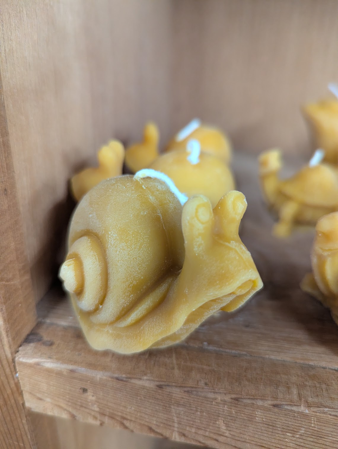 Anarchy Apiaries  |  Honey, Candles, Products - Snail Candles 3oz