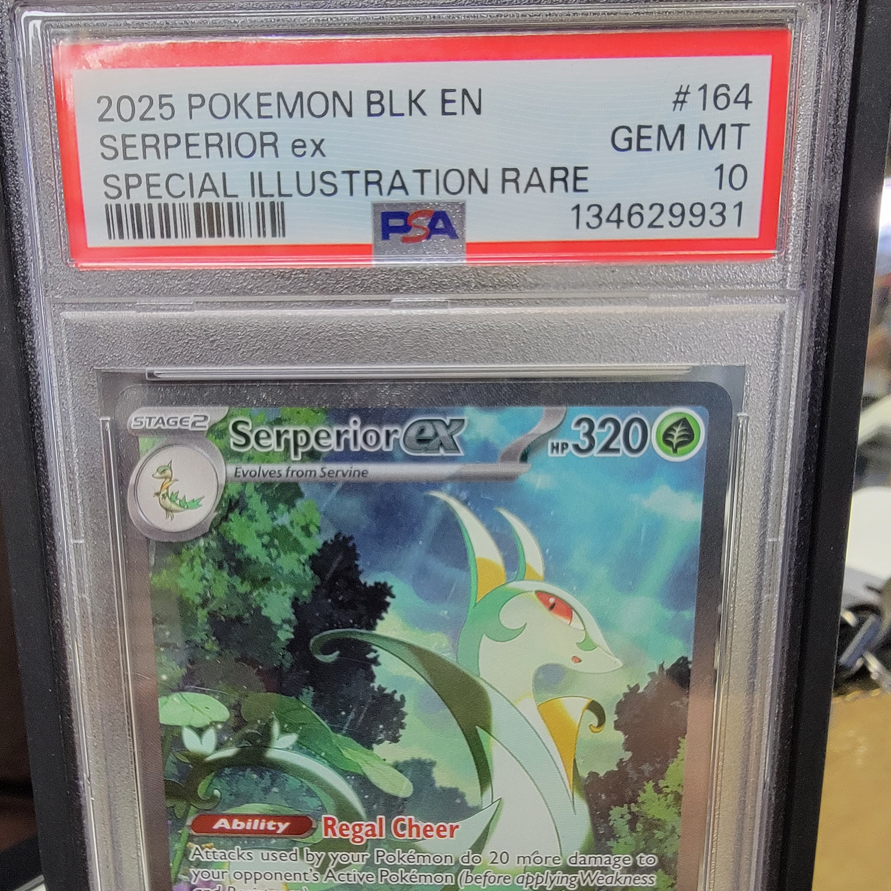Psa 10 Serperior SIR Graded Card
