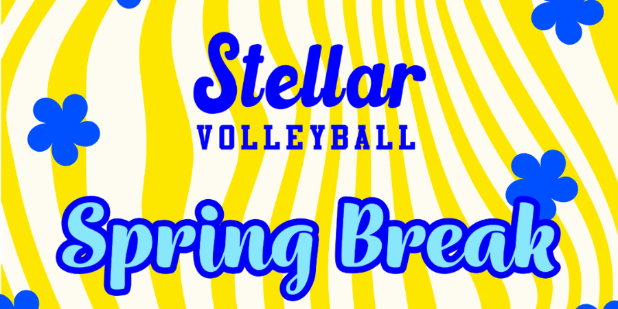 Spring Break Quads Player