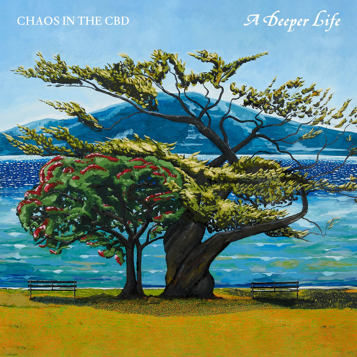 Chaos In The CBD - A Deeper Life by Unknown Artist - View 1