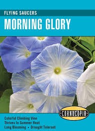 Flying Saucers Morning Glory Seed Pack