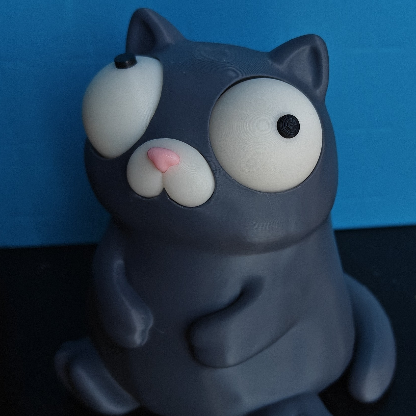 Goofy Eyed – Cat