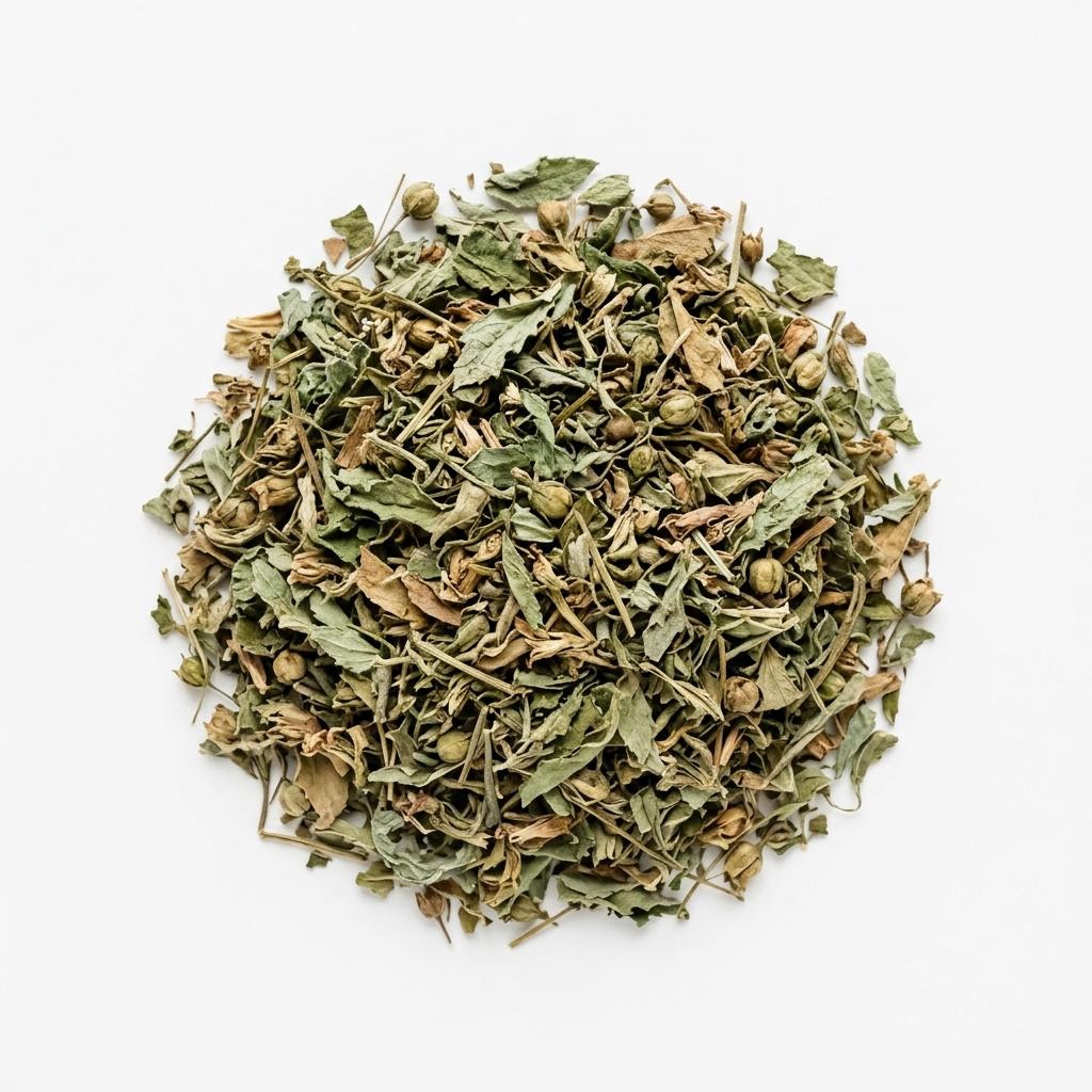 Lobelia