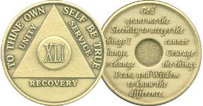 M41 Medallion Bronze 41 Year